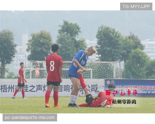 体育道德在足球规则中的体现：尊重对手、裁判与比赛精神